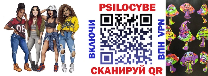 купить закладку  Данков  Галлюциногенные грибы Psilocybine cubensis 